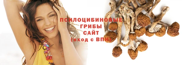 мяу мяу кристалл Иннополис