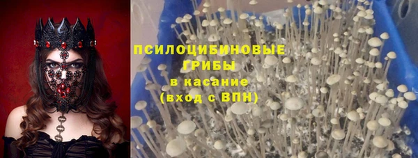 мяу мяу кристалл Иннополис