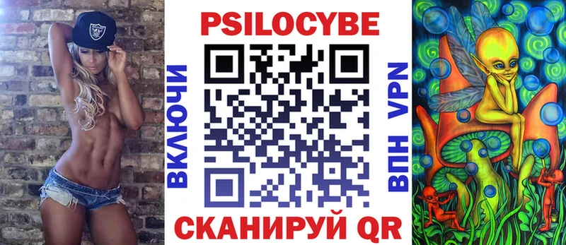 где найти наркотики Щигры Галлюциногенные грибы ЛСД